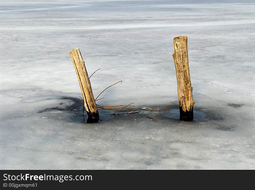 The rests of two trees in frozen lake. The rests of two trees in frozen lake