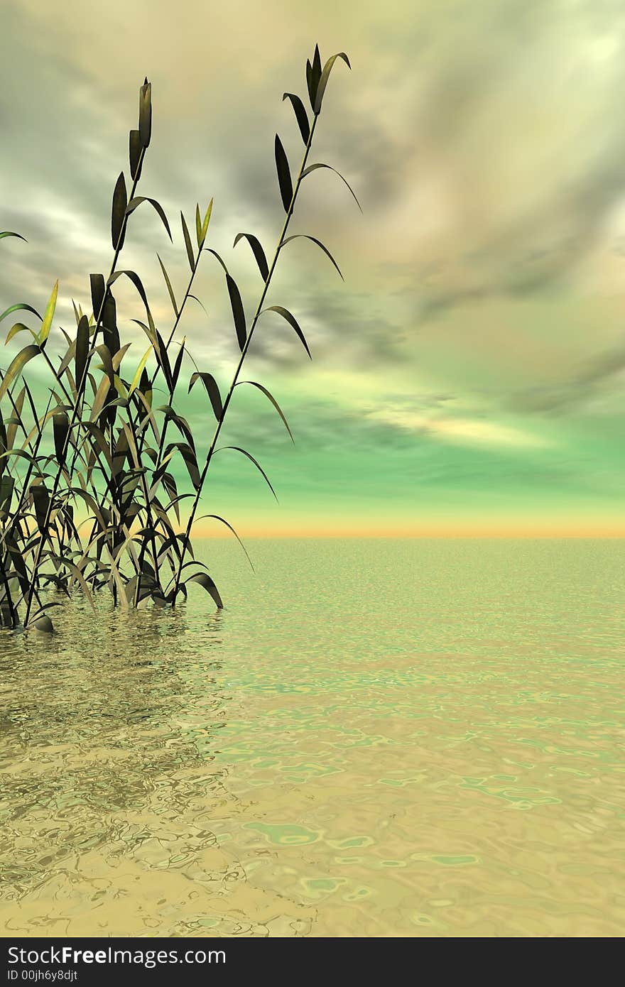 Water plants on a sea sunset  background  -  3D scene. Water plants on a sea sunset  background  -  3D scene.