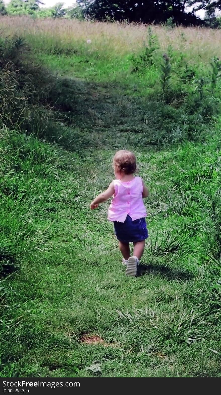 Toddler In Countryside