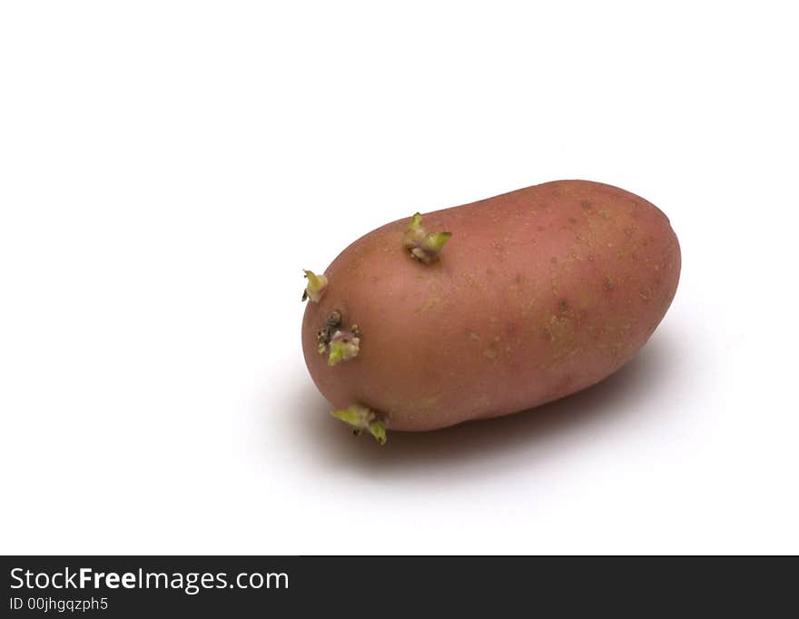 Potato On White Background