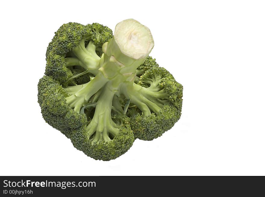 Broccoli se tenant comme un arbre d'isolement sur le fondblanc