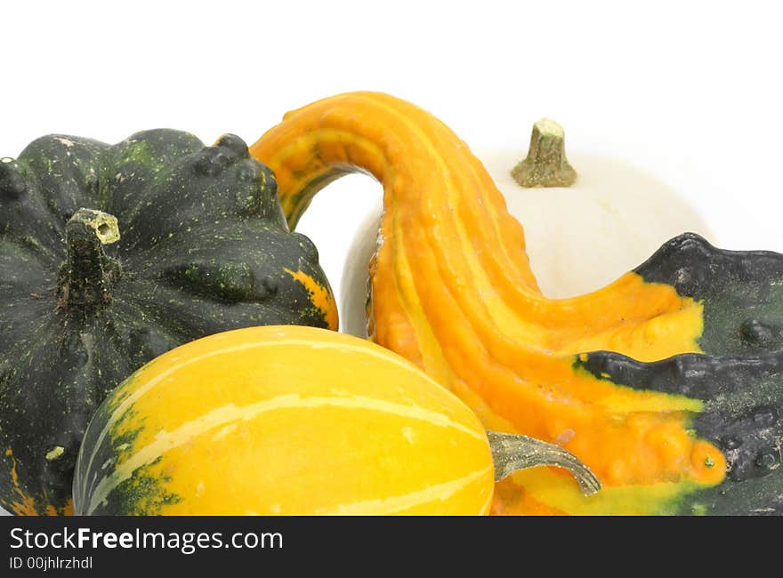 Four colorful pumpkins on white background