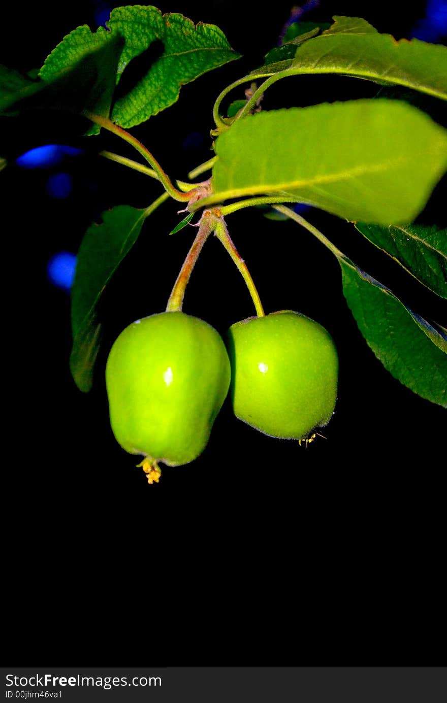 Little green apples