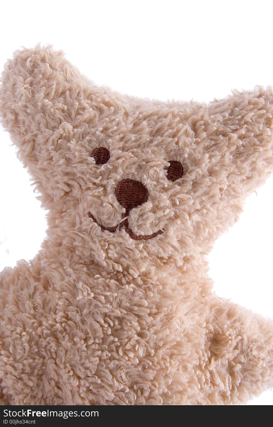 Portrait Of A Teddy Bear