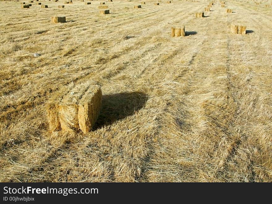 Straw bale after harvesting the cereal