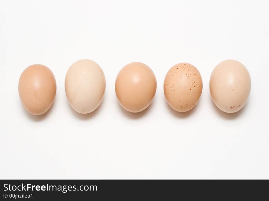 Five eggs in line isolated on white