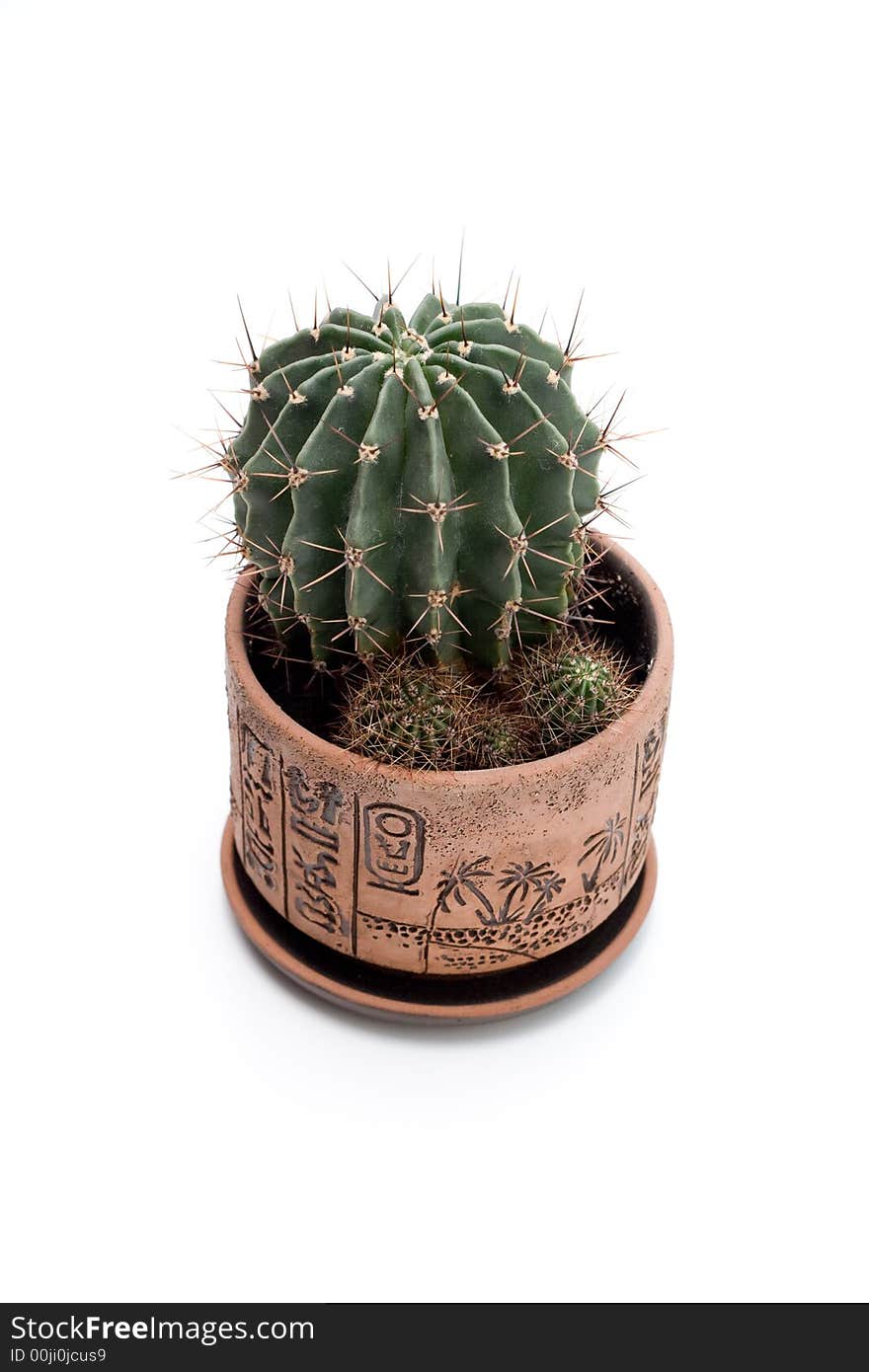 Сactus in egyptian style pot isolated