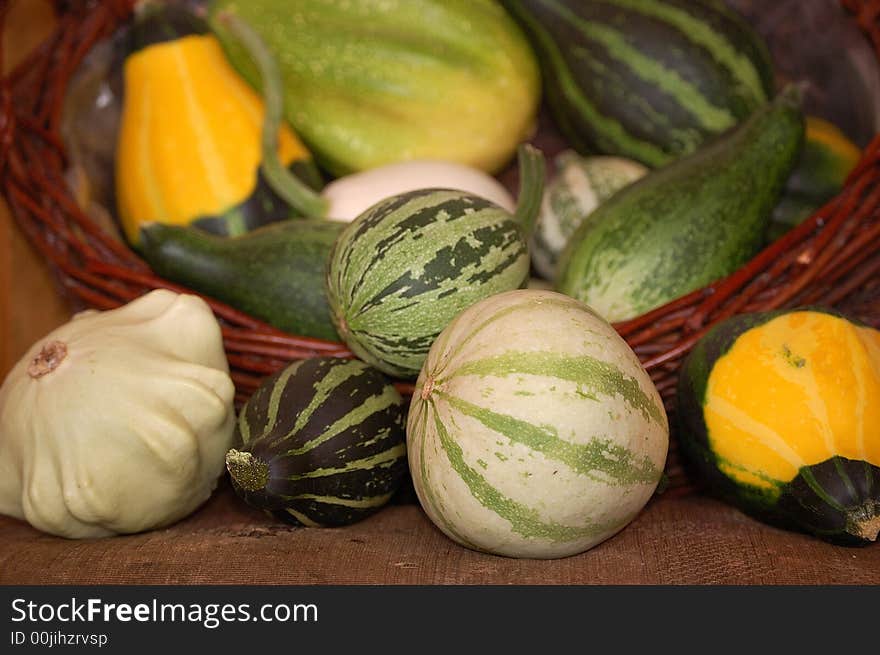 View of shapes and colours decorative cucurbit, as symbol autumn. View of shapes and colours decorative cucurbit, as symbol autumn