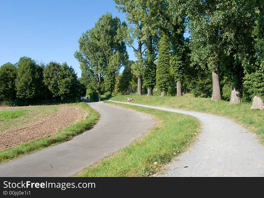 Footpath in the park.