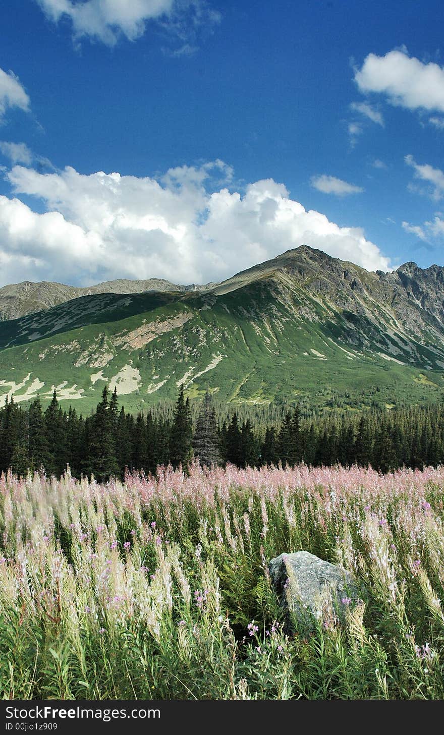 Tatry