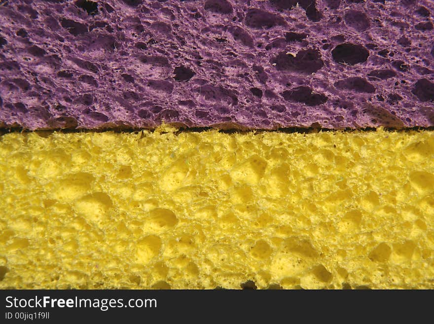 Side view of Yellow and purple sponges