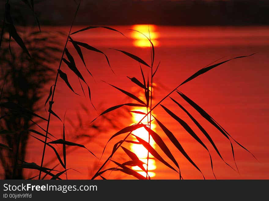 Beautiful sunset in the forest, over the city