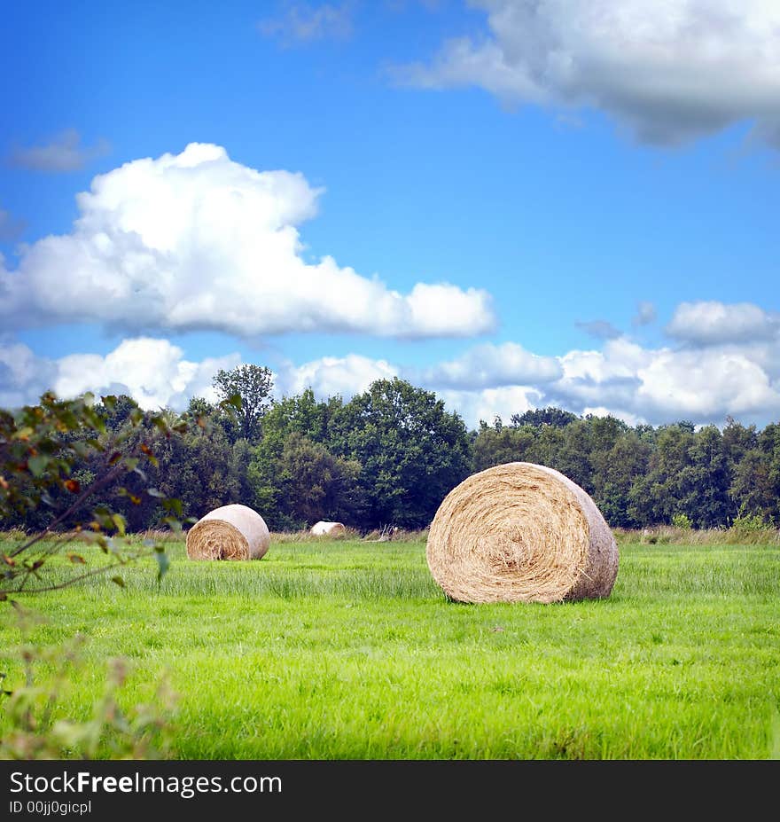 Hay balls