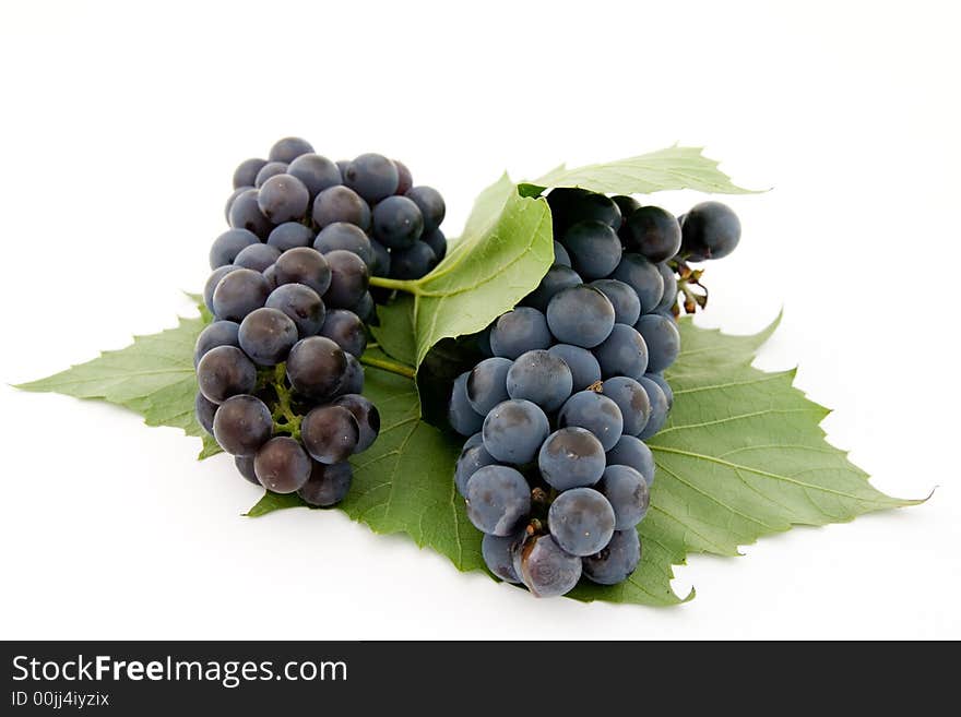 Dark grape with leaf