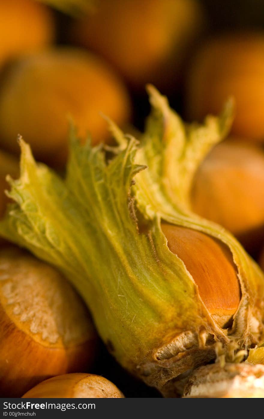 Hazelnut on the wooden table