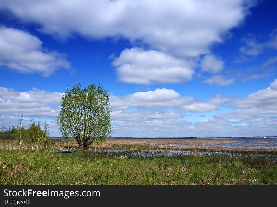 Spring Landscape