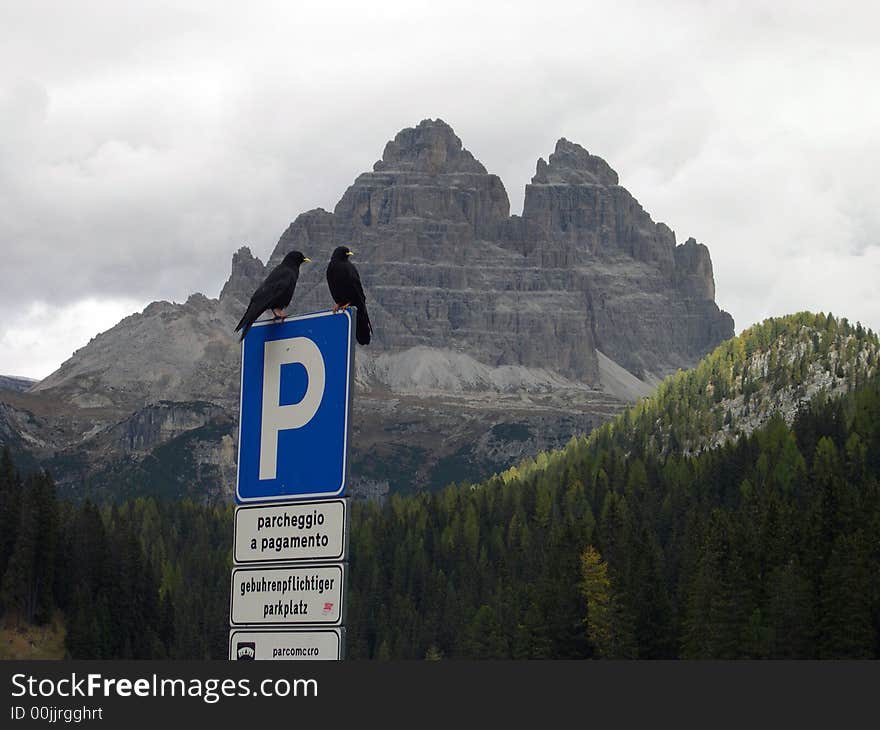 A view of Dolomitic mountains with two crows up a road sign