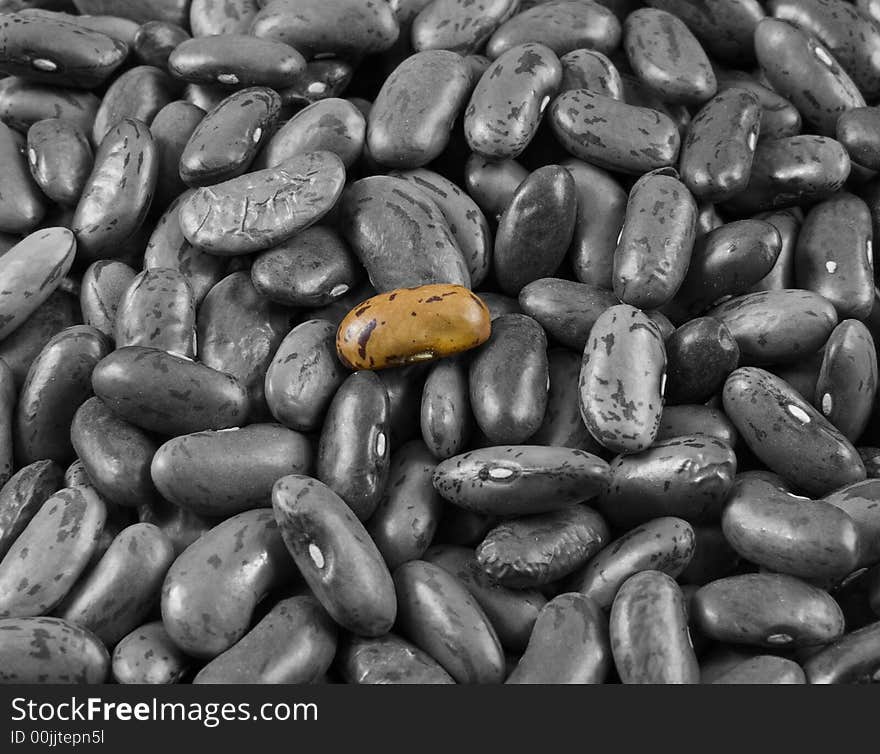 Black And White Heap Of Beans