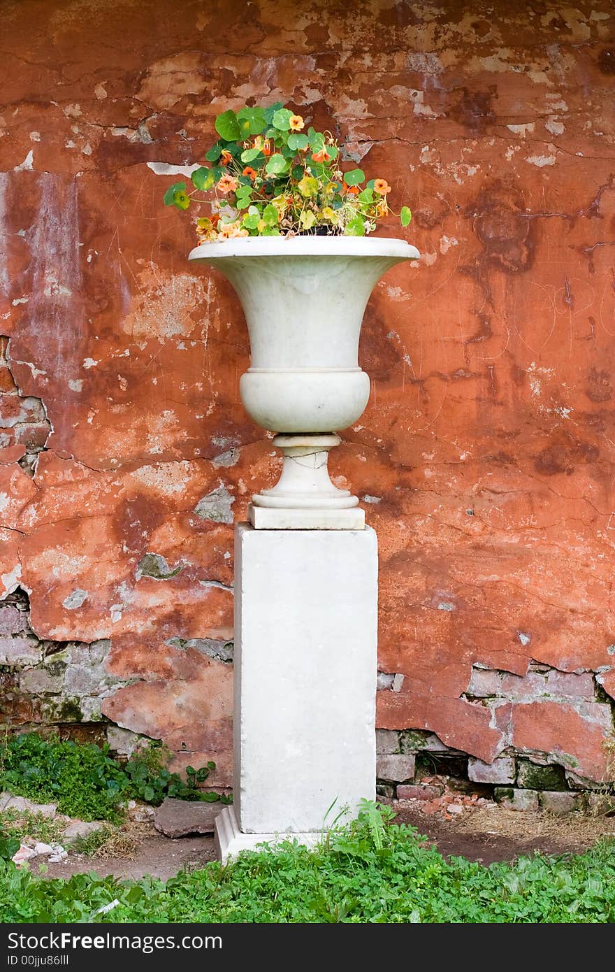 Vase with flowers on the grunge background