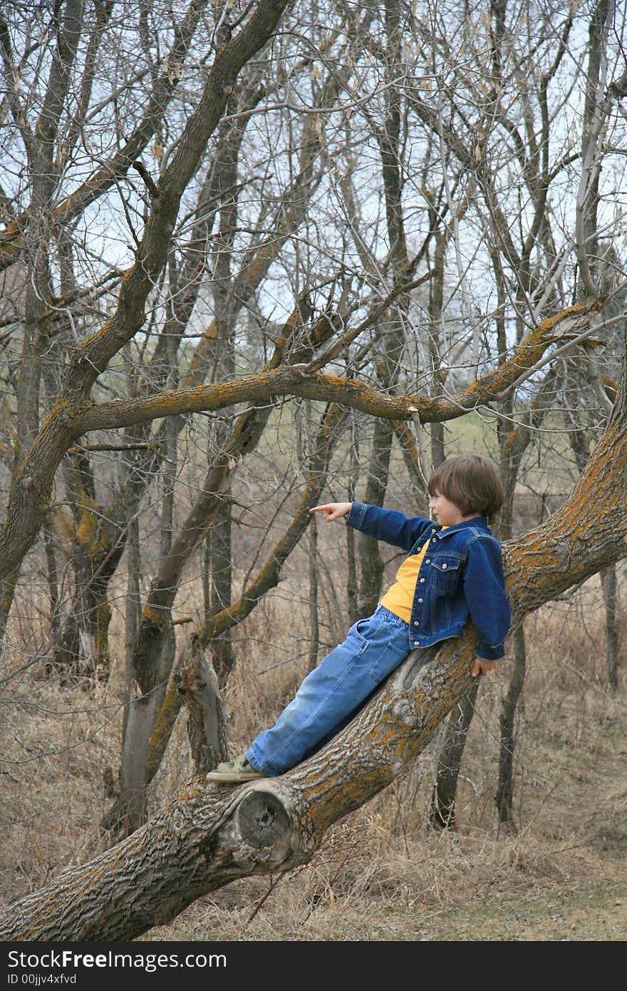 A young boy providing direction after climbing a tree. A young boy providing direction after climbing a tree.