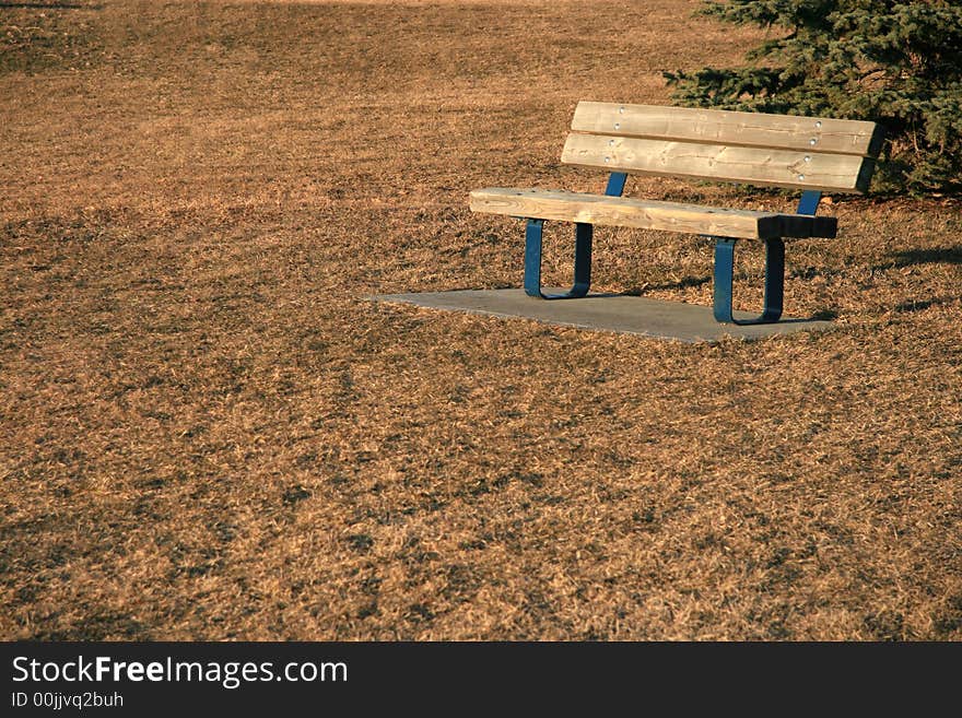 Autumn Bench