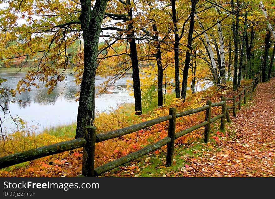 Autumn scene in a park by the lake. Autumn scene in a park by the lake