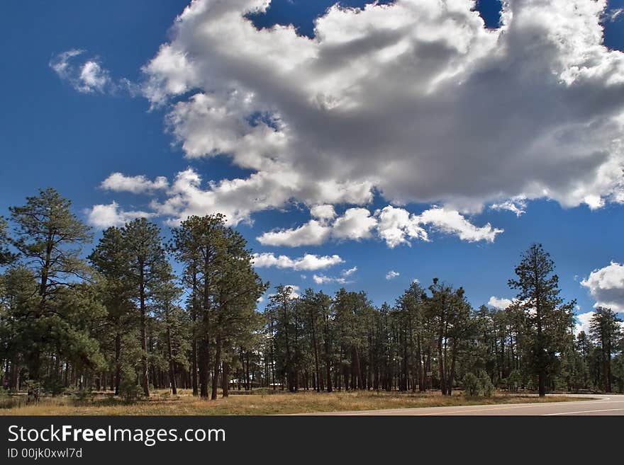 Clouds shined by the sun above park nearby Grand Canyon in the USA. Clouds shined by the sun above park nearby Grand Canyon in the USA