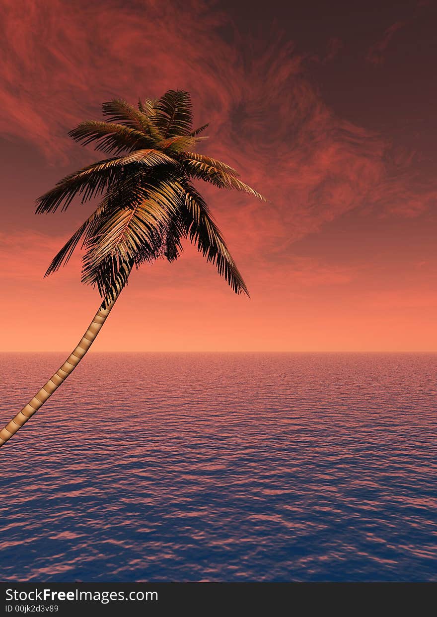 Top of palm tree on a background of a sunset sky. Top of palm tree on a background of a sunset sky