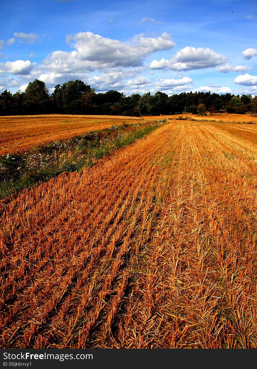 A field in Järnvafältet near Bögsgård