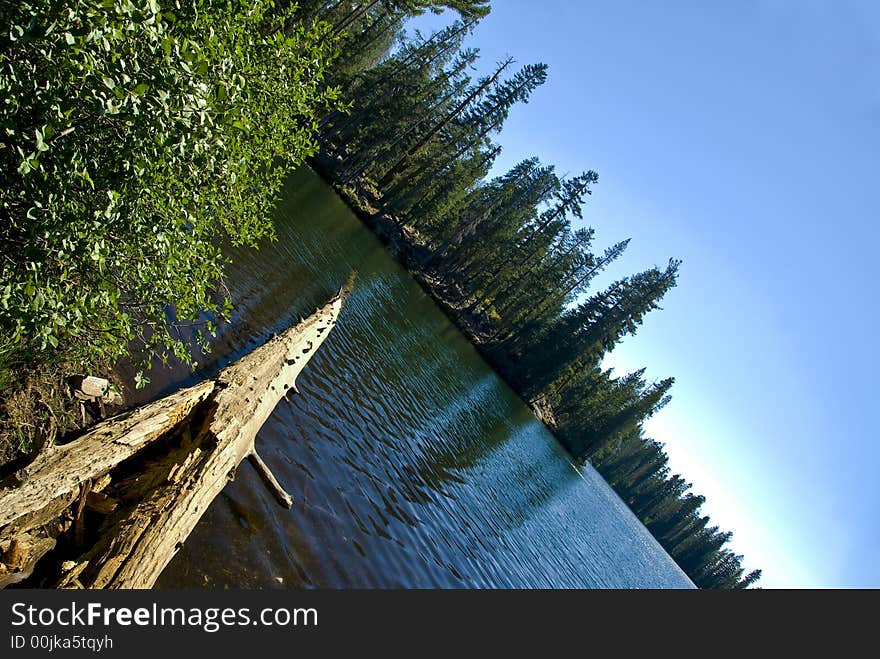 Lake with mountains and trees. Lake with mountains and trees