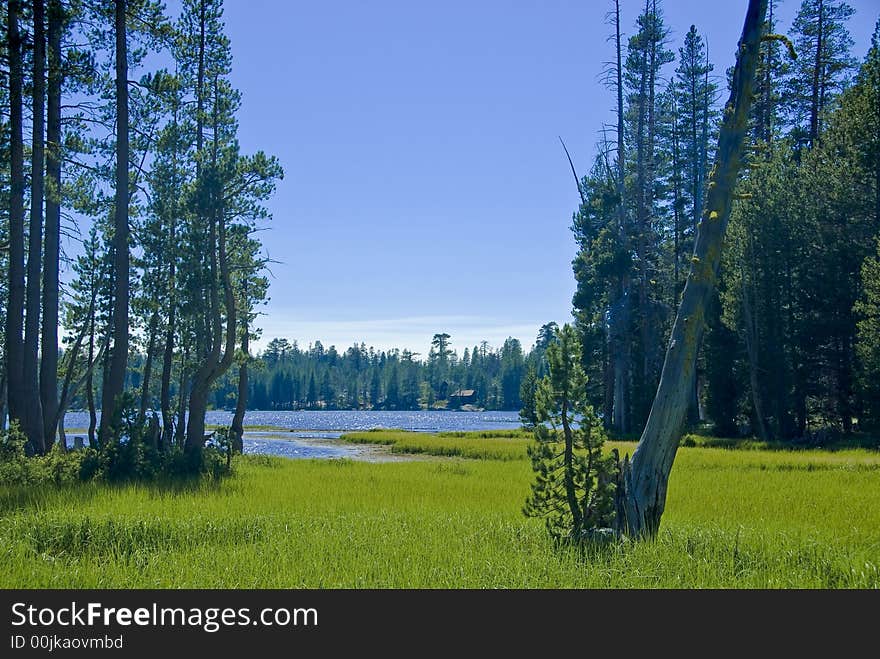 Lake with mountains and trees. Lake with mountains and trees