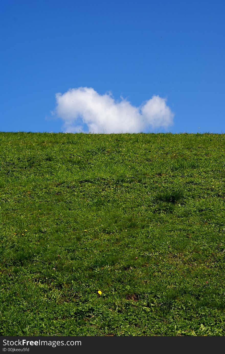 Meadow and cloud