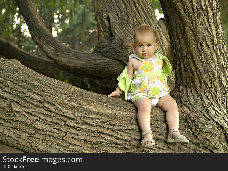 Child on a tree