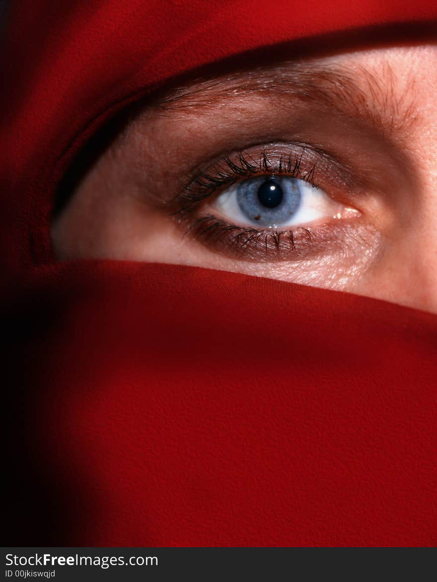 Close up of a woman's eye. Close up of a woman's eye