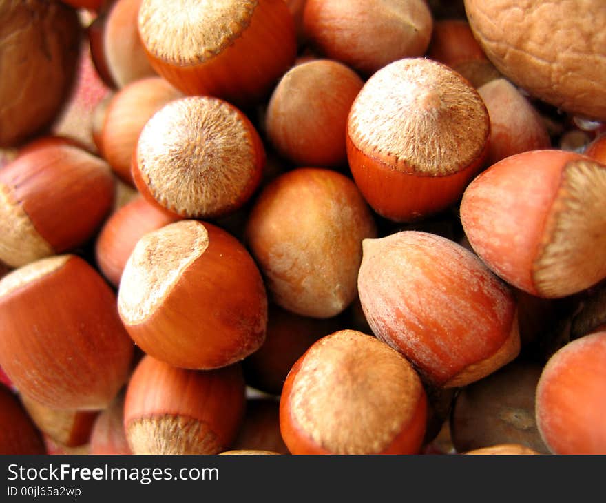 Closeup of hazel nuts background. Closeup of hazel nuts background