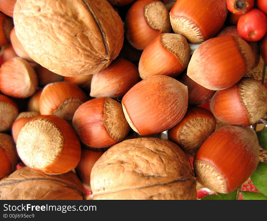 Walnuts and hazelnuts, haw assorted on plate