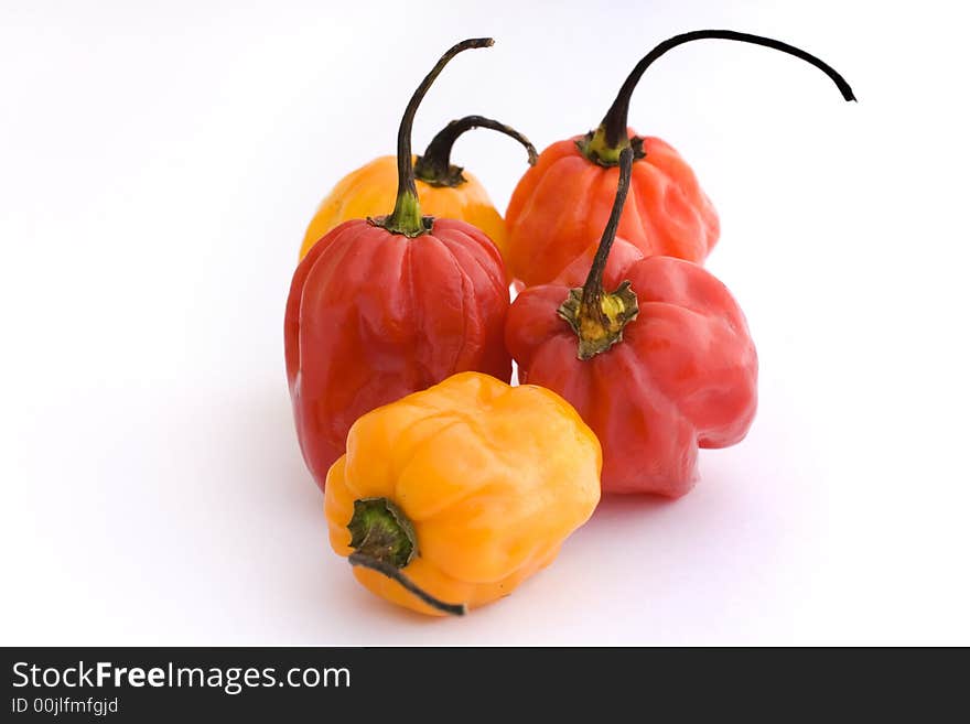 Paprika in white background shoot