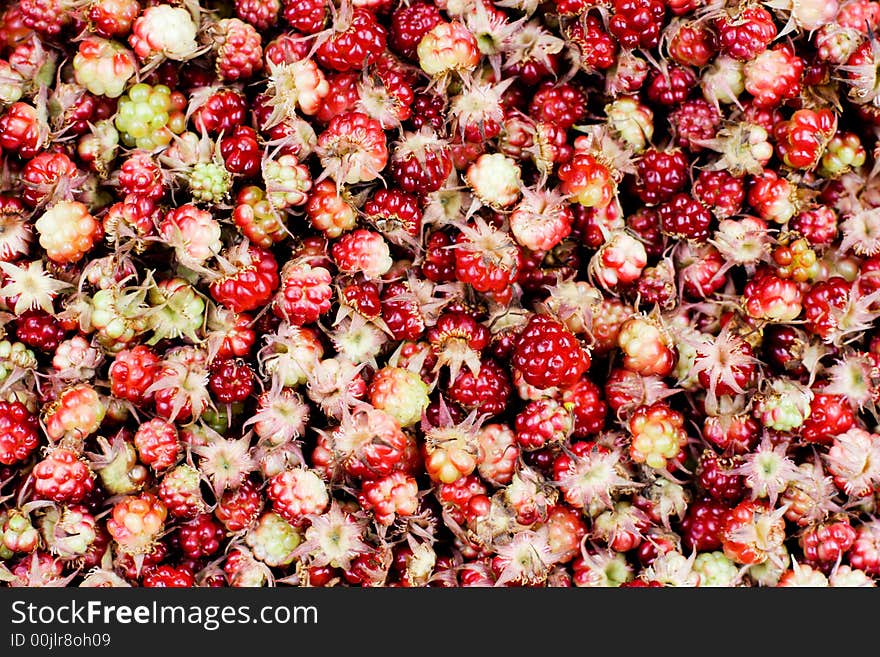 Wild cloudberries