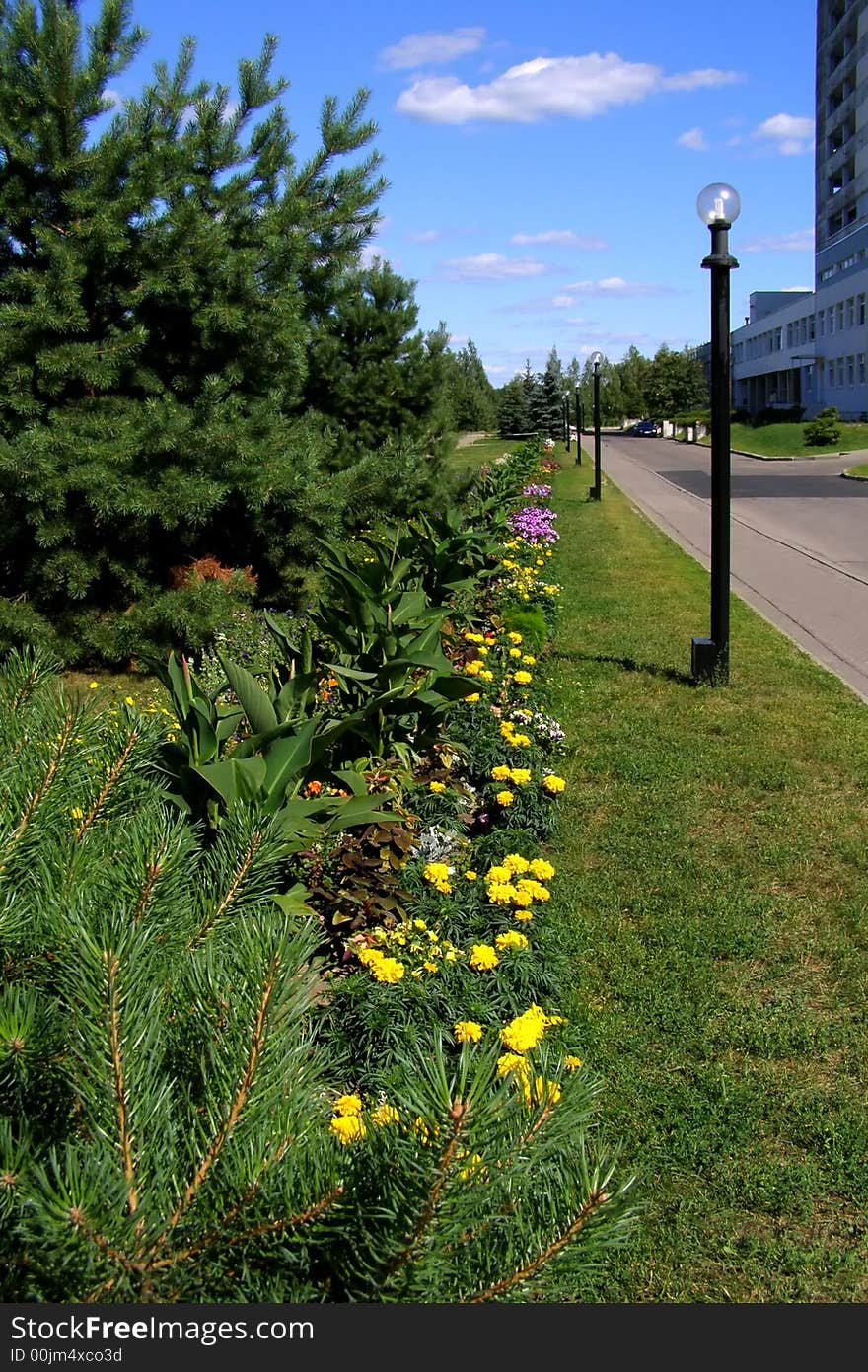 Street in a sunny day with lanterns and flowers on the side of a road. Street in a sunny day with lanterns and flowers on the side of a road