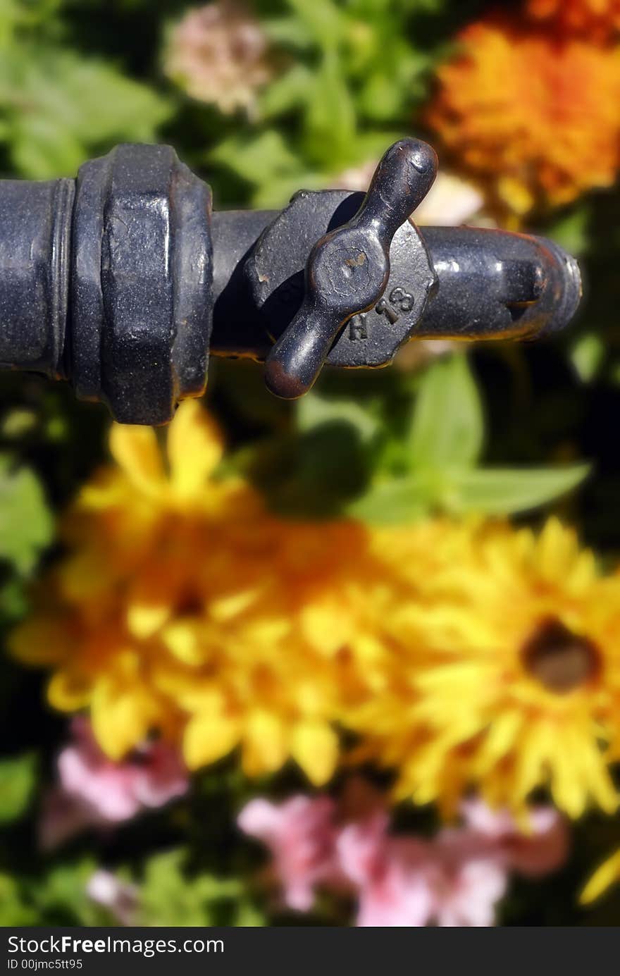 Antique iron water spigot above a bed of flowers. Antique iron water spigot above a bed of flowers