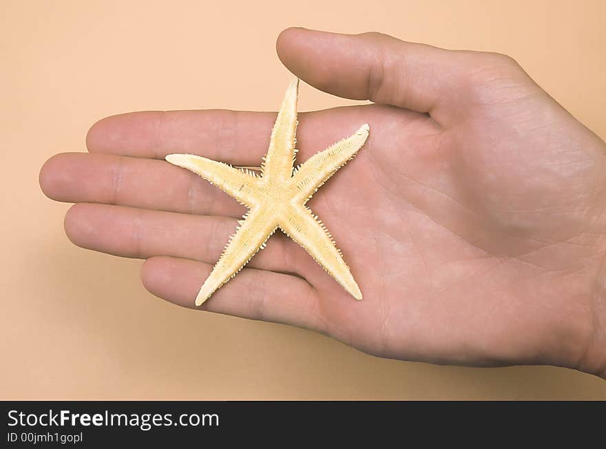 Starfish on a palm on a light background