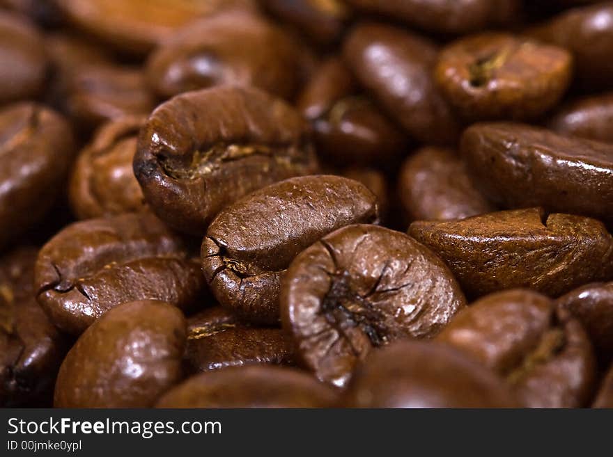 Coffee Beans Closeup