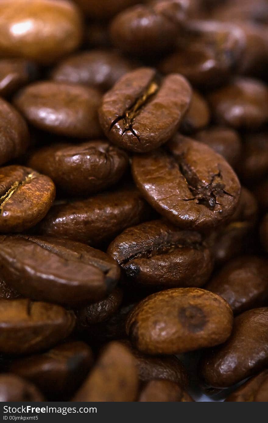 Coffee Beans Closeup