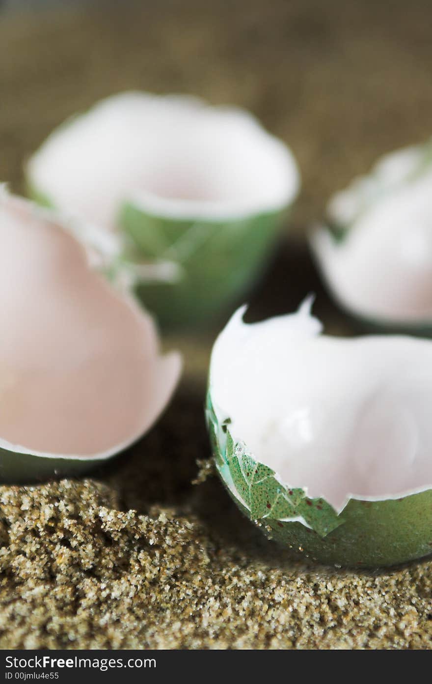 Empty Birds or Reptile Eggs on Sand. Empty Birds or Reptile Eggs on Sand