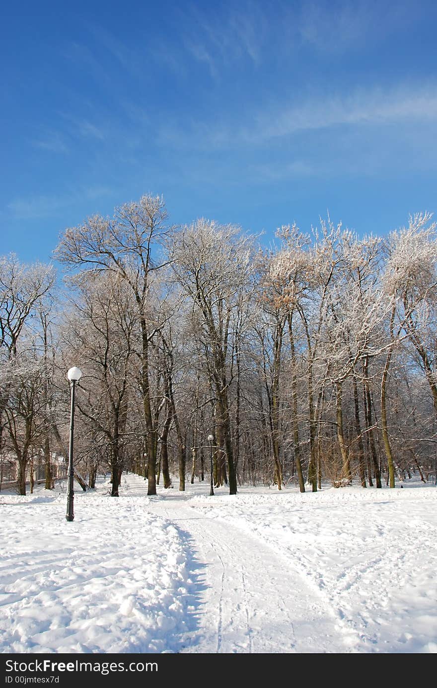 A path in snow leading to the park. A path in snow leading to the park