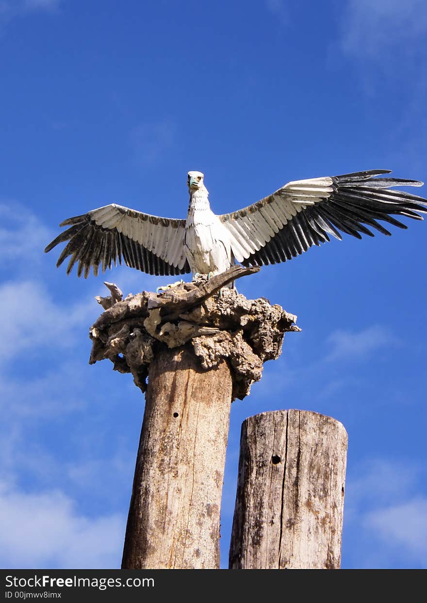 Hawk Statue At The Beach. Hawk Statue At The Beach