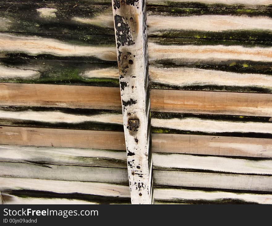 Rotted Wood from the jetty. Rotted Wood from the jetty.