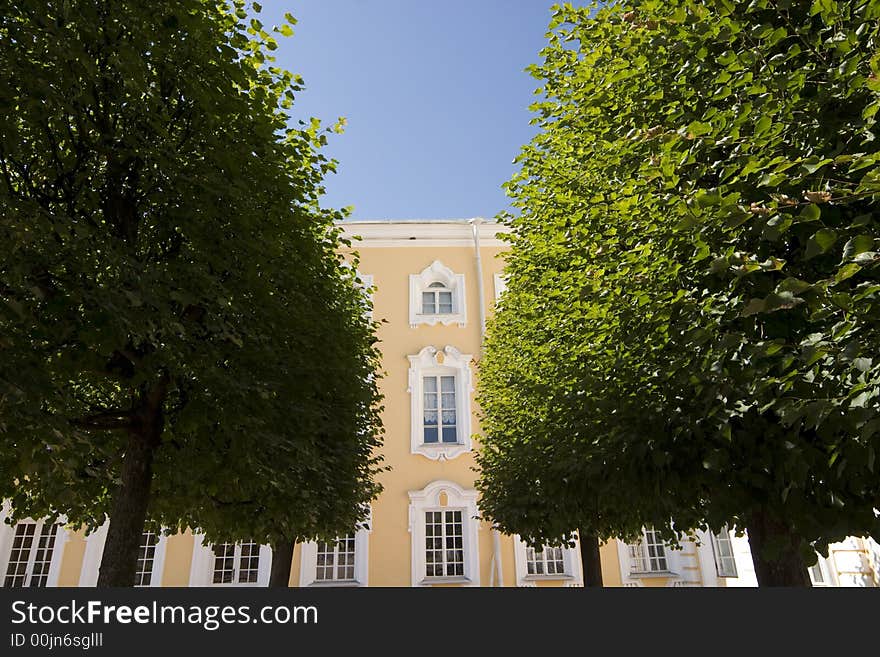 House And Trees