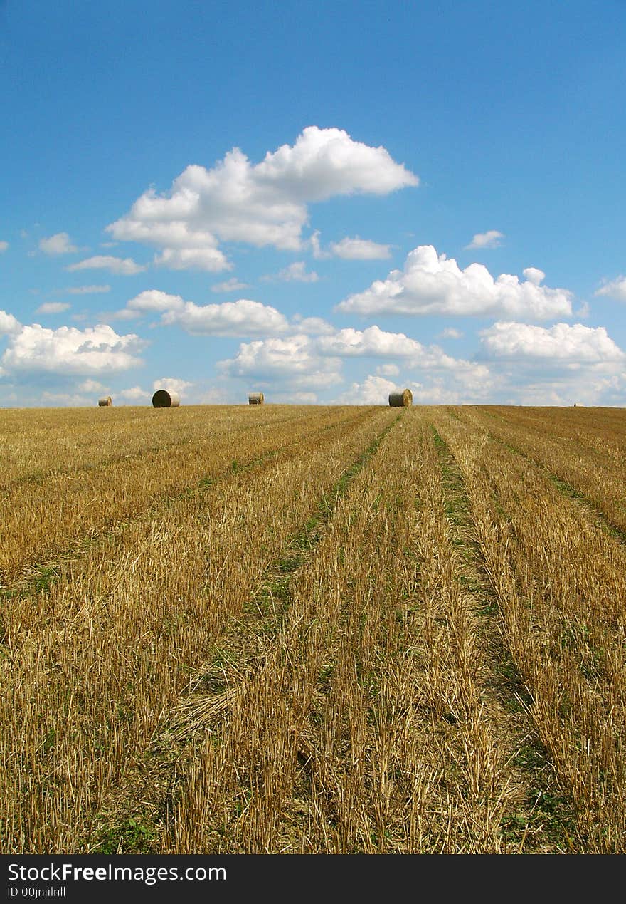 Field & blue sky