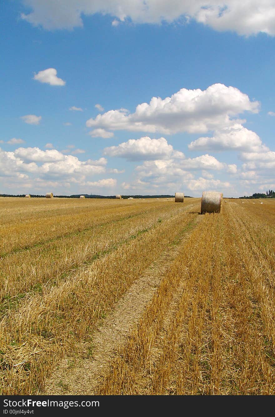 Field & blue sky